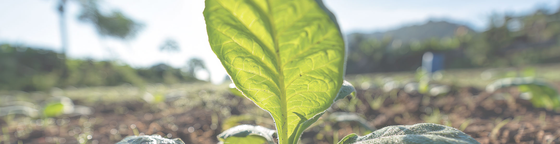 kompensation-artseco-header